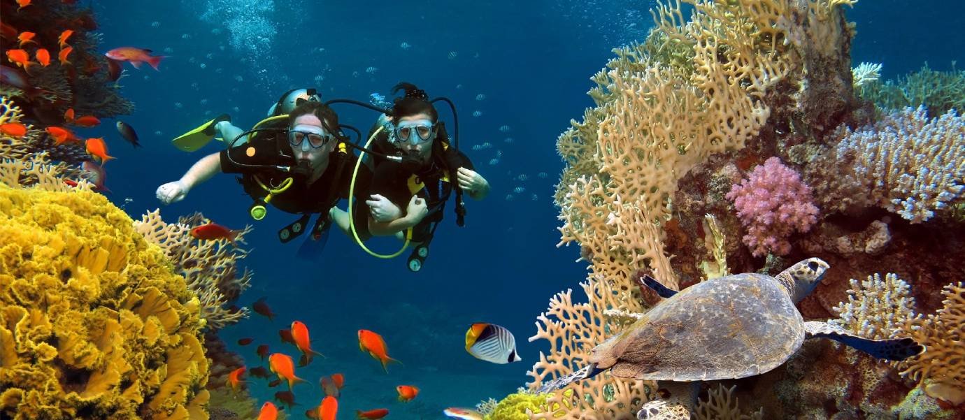Essential Planning for an Unforgettable Diving Adventure