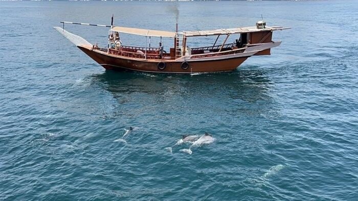 musandam road trip planning