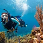 A scuba diver next to sea fans and coral in Khasab