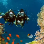 Two scuba divers over a coral reef on a Khasab Musandam scuba diving trip