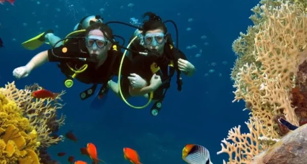 Two scuba divers over a coral reef on a Khasab Musandam scuba diving trip